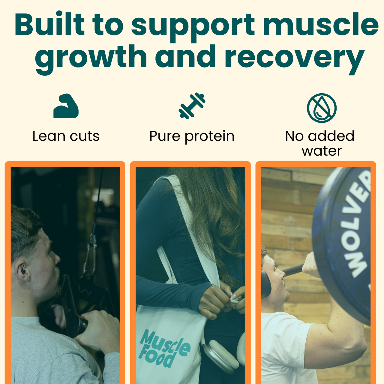 Muscle building Buy 1 hamper & claim 4 hampers free