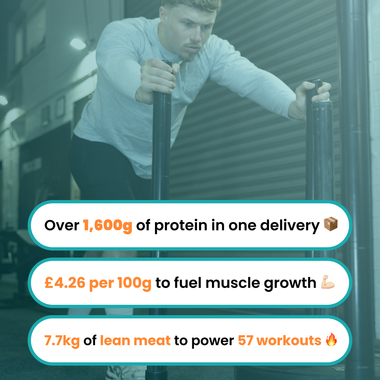Muscle building Buy 1 hamper & claim 4 hampers free