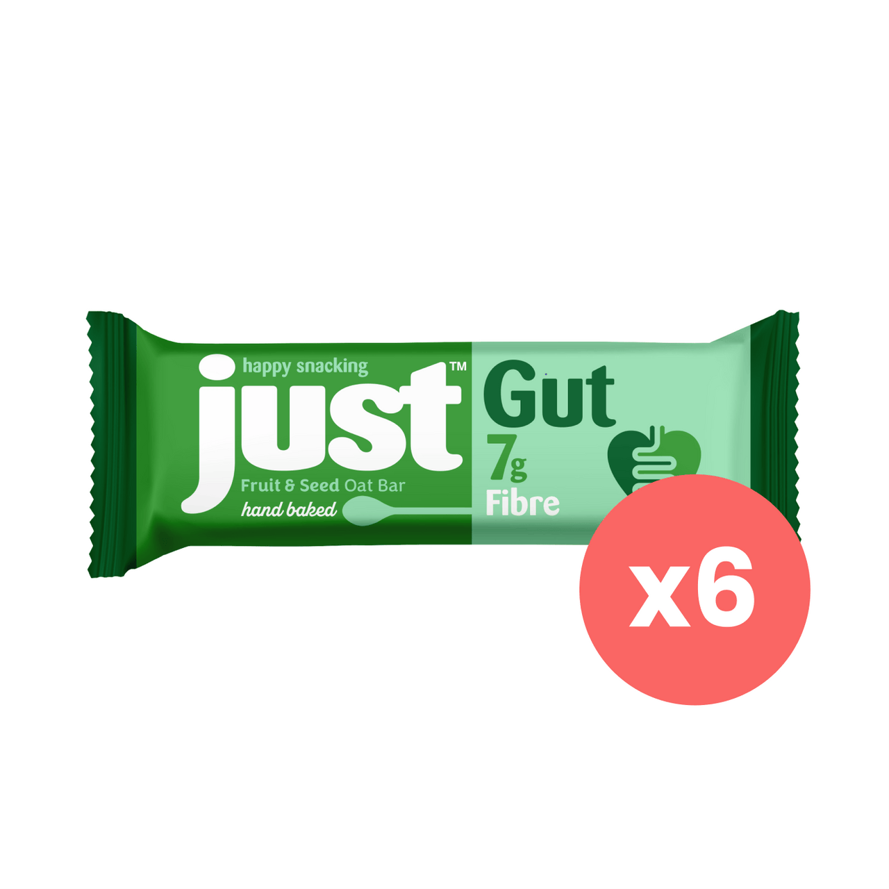 JUST Gut Fruit & Seed Flavour Oat Bar Bundle - 6 x 75g
